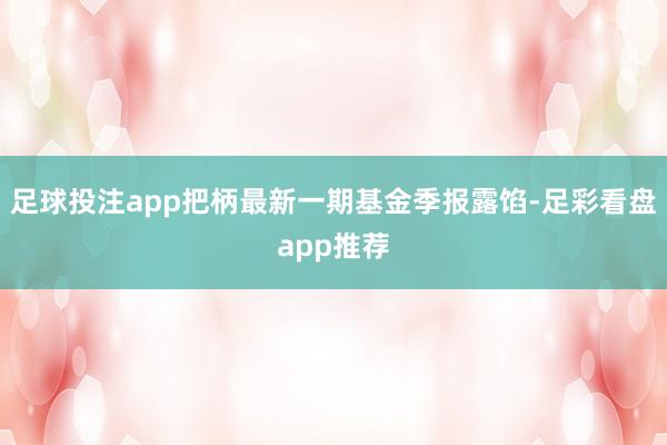 足球投注app把柄最新一期基金季报露馅-足彩看盘app推荐