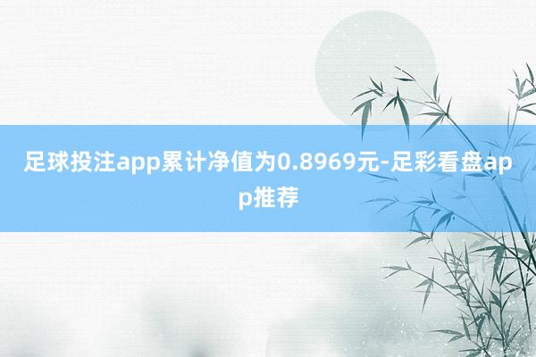 足球投注app累计净值为0.8969元-足彩看盘app推荐