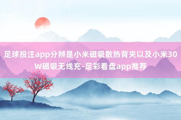 足球投注app分辨是小米磁吸散热背夹以及小米30W磁吸无线充-足彩看盘app推荐