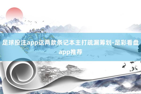 足球投注app这两款条记本主打疏漏筹划-足彩看盘app推荐