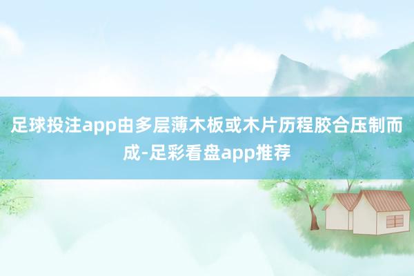 足球投注app由多层薄木板或木片历程胶合压制而成-足彩看盘app推荐