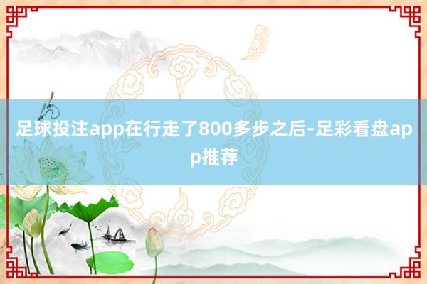 足球投注app在行走了800多步之后-足彩看盘app推荐