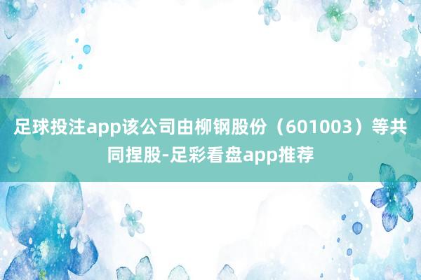 足球投注app该公司由柳钢股份（601003）等共同捏股-足彩看盘app推荐