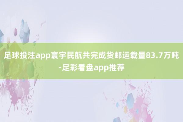 足球投注app寰宇民航共完成货邮运载量83.7万吨-足彩看盘app推荐