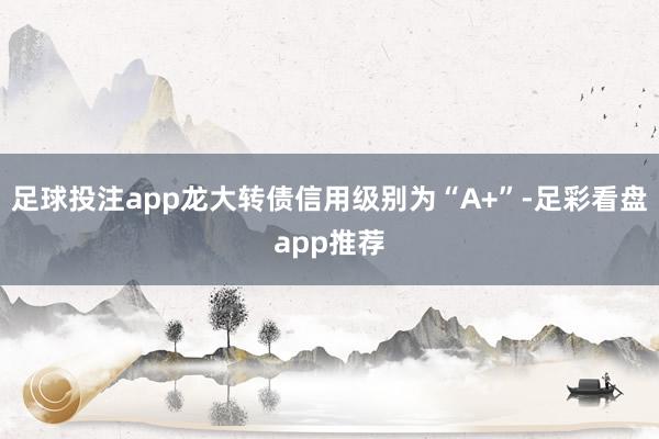 足球投注app龙大转债信用级别为“A+”-足彩看盘app推荐