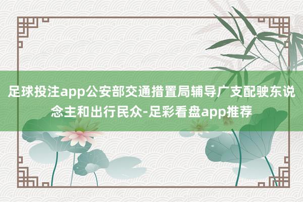 足球投注app公安部交通措置局辅导广支配驶东说念主和出行民众-足彩看盘app推荐