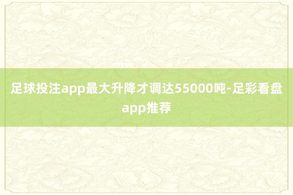 足球投注app最大升降才调达55000吨-足彩看盘app推荐