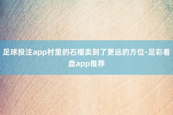 足球投注app村里的石榴卖到了更远的方位-足彩看盘app推荐