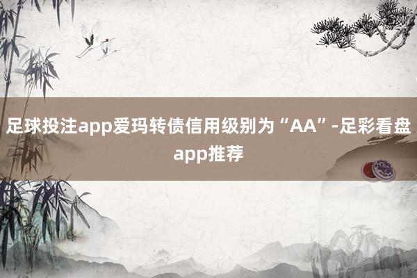 足球投注app爱玛转债信用级别为“AA”-足彩看盘app推荐